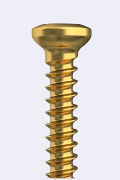 DENTISTOOLBOX gold dental fixation screw, 1.3mm diameter, blunt tip, for delicate bone surgeries and membrane fixation.