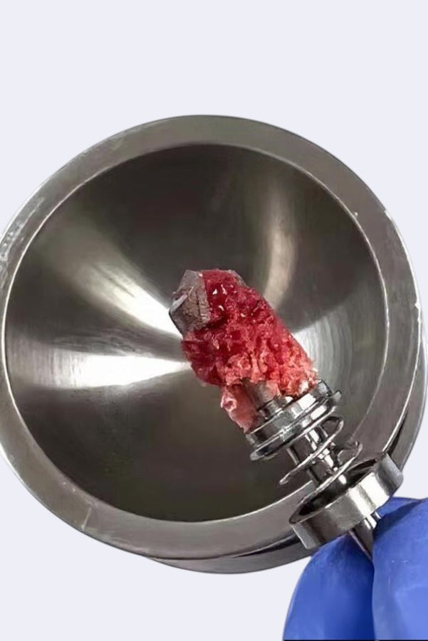 DENTISTOOLBOX surgical bone graft trephine with autogenous bone sample, available in 4, 5, 6 mm diameters.