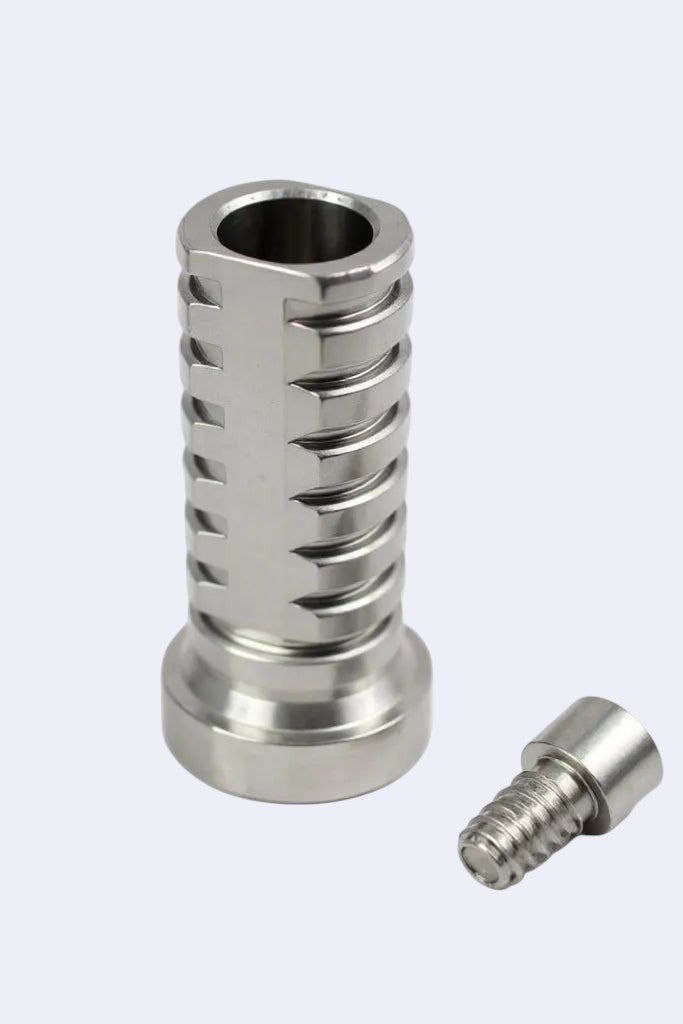 DENTISTOOLBOX temporary abutment and screw, silver metal, for Nobel Biocare and Zimvie multi-unit systems.